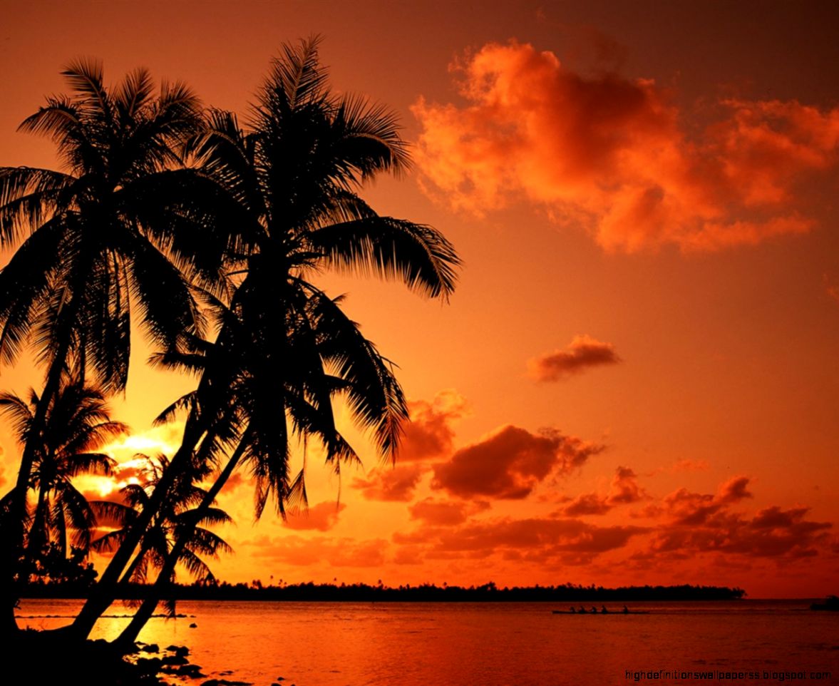 The Beach Sunset With Palm Trees Wallpapers Hd