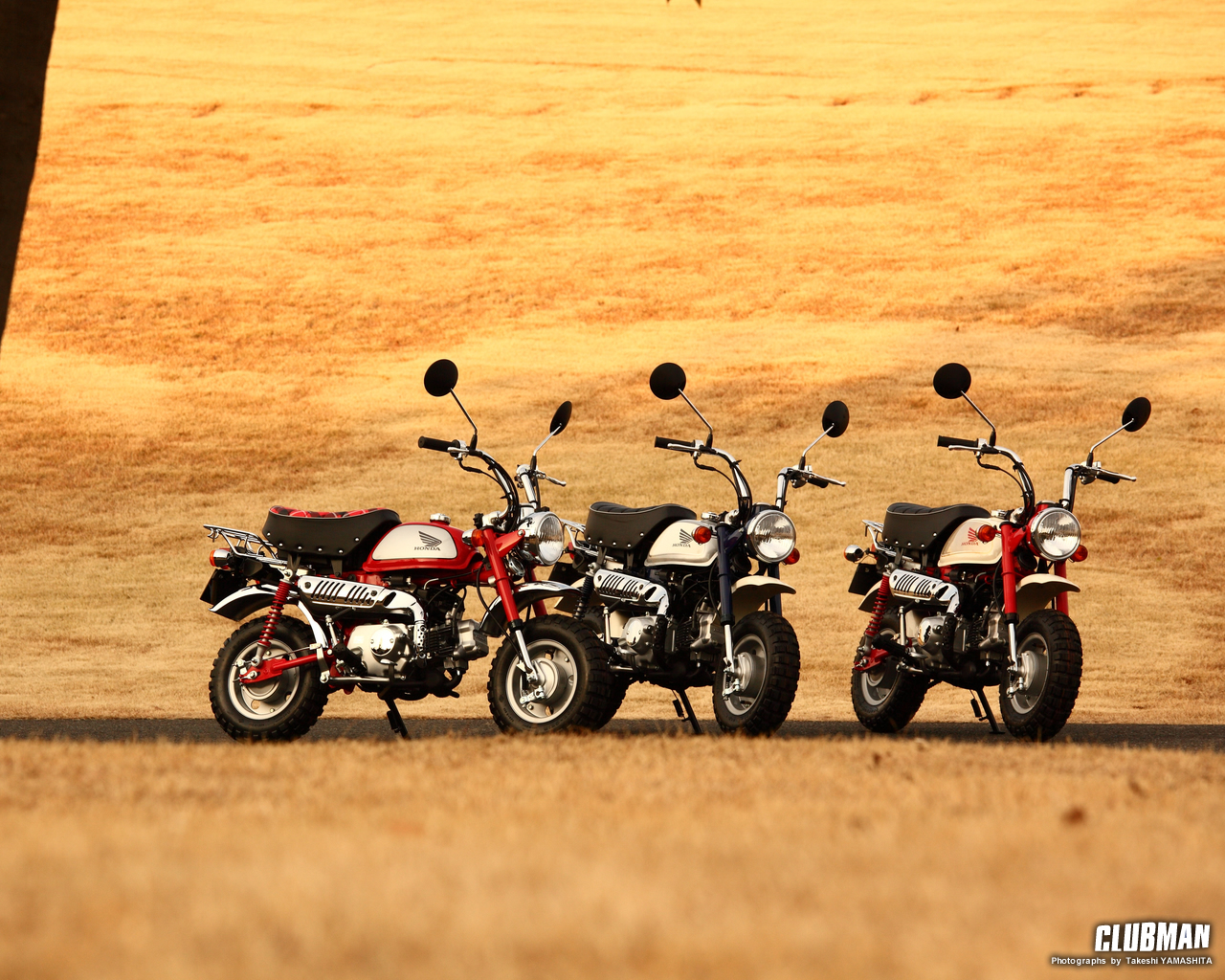 Japan Blog Photo 10 Honda Monkey