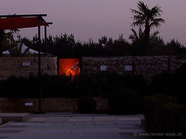 Gartenblog Geniesser Garten Sichtschutz