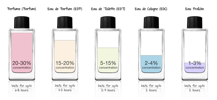 Fragrance Strength Hierarchy fragrance-strength-hierarchy