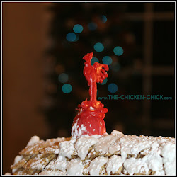 gingerbread chicken coop chick instructions tour waterer feeder