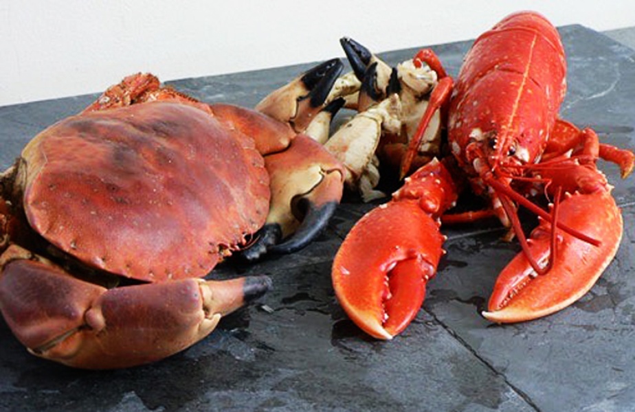 Crab vs Lobster - Frozen Mud Crab Supplier, Crab Meat ...