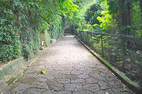 Cobblestone walkway surrounded by vegetation