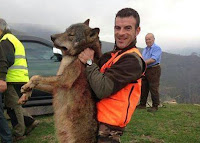 Valiente posa con lobo abatido en Karranza