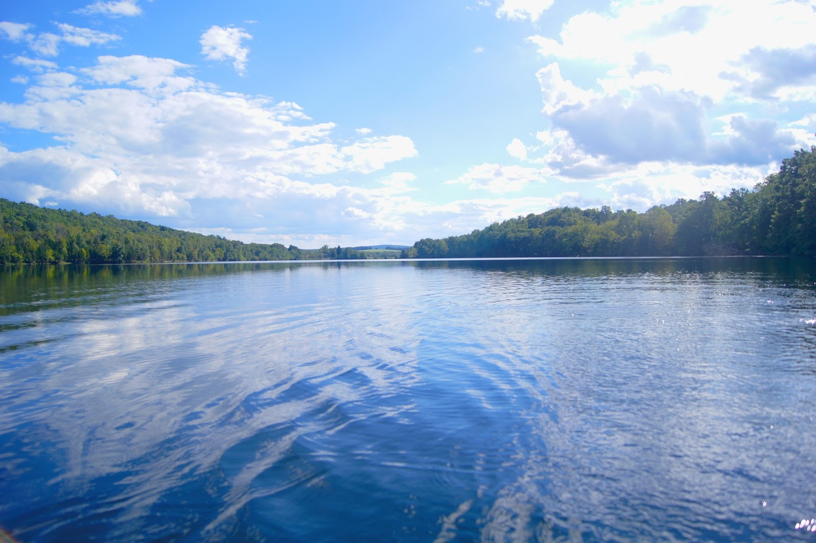 Endangered New Jersey Hike All of New Jersey's 21 Counties