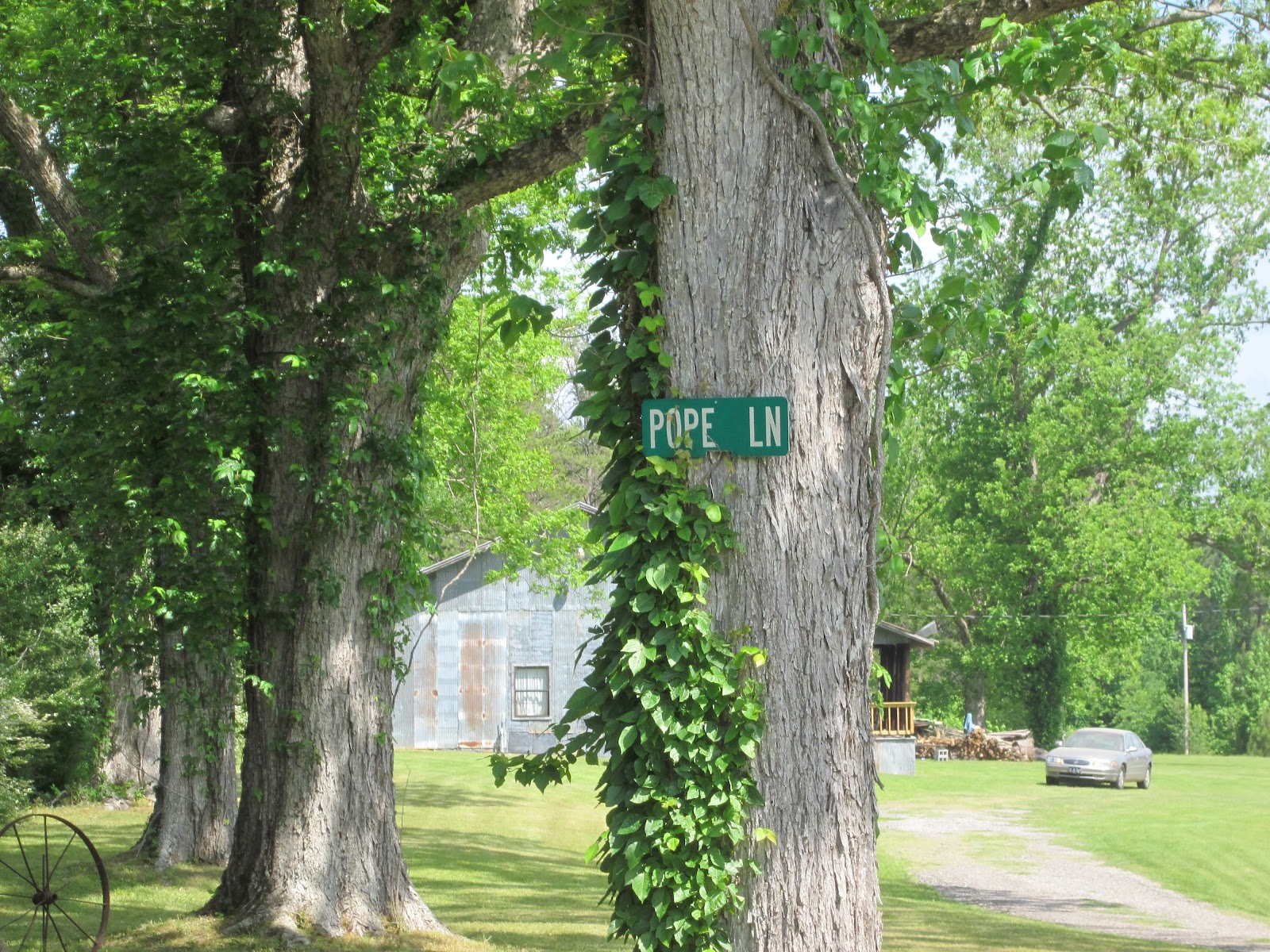 Insert Clever Phrase Here Pope camp house