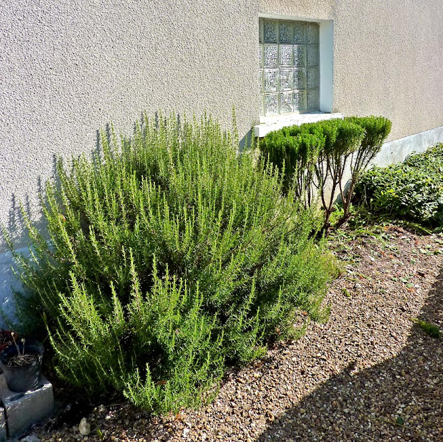 Living the life in SaintAignan Here's what happens...