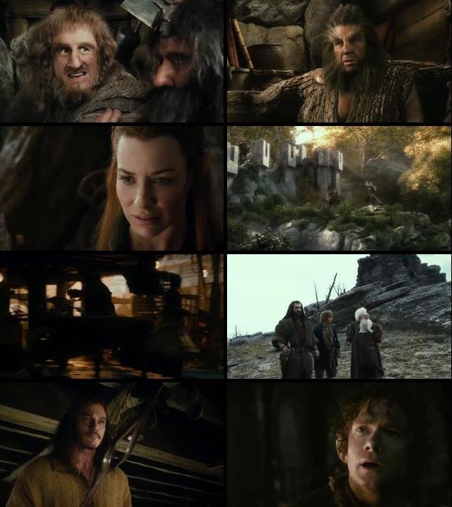 The Hobbit The Desolation Of Smaug 2013 Extended Dual Audio Hindi 480p BluRay