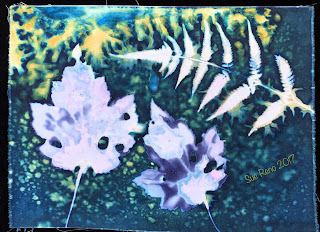 Wet Cyanotype_Sue Reno_Image 184