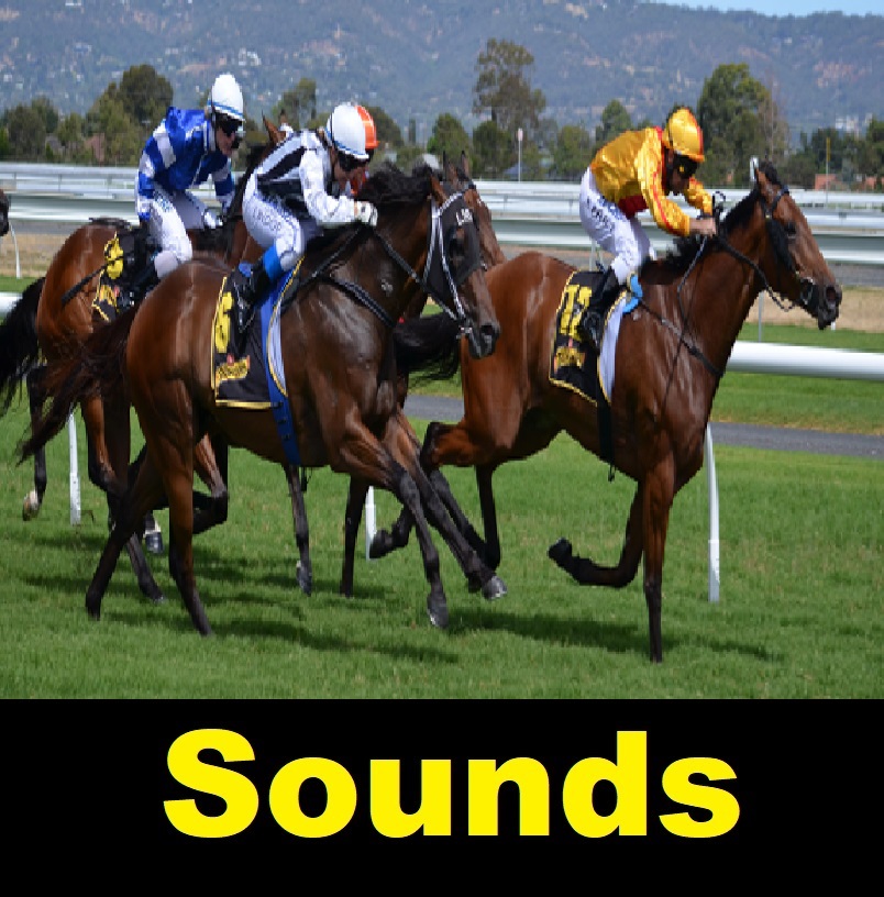 All Sound Effects horse sound effects