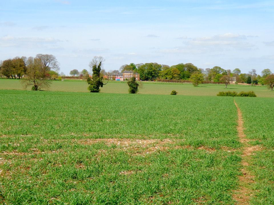 Snail's Pace Walking Blog East Yorkshire Rowley (2.8 miles)