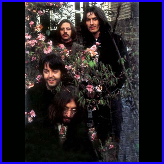 Magic Mac Flowers The Beatles
