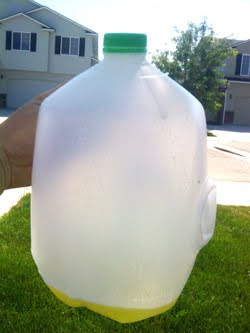 plastic