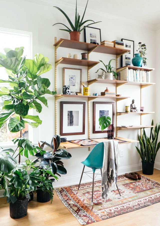 8 Diy e ideas para crear decoración Urban Jungle