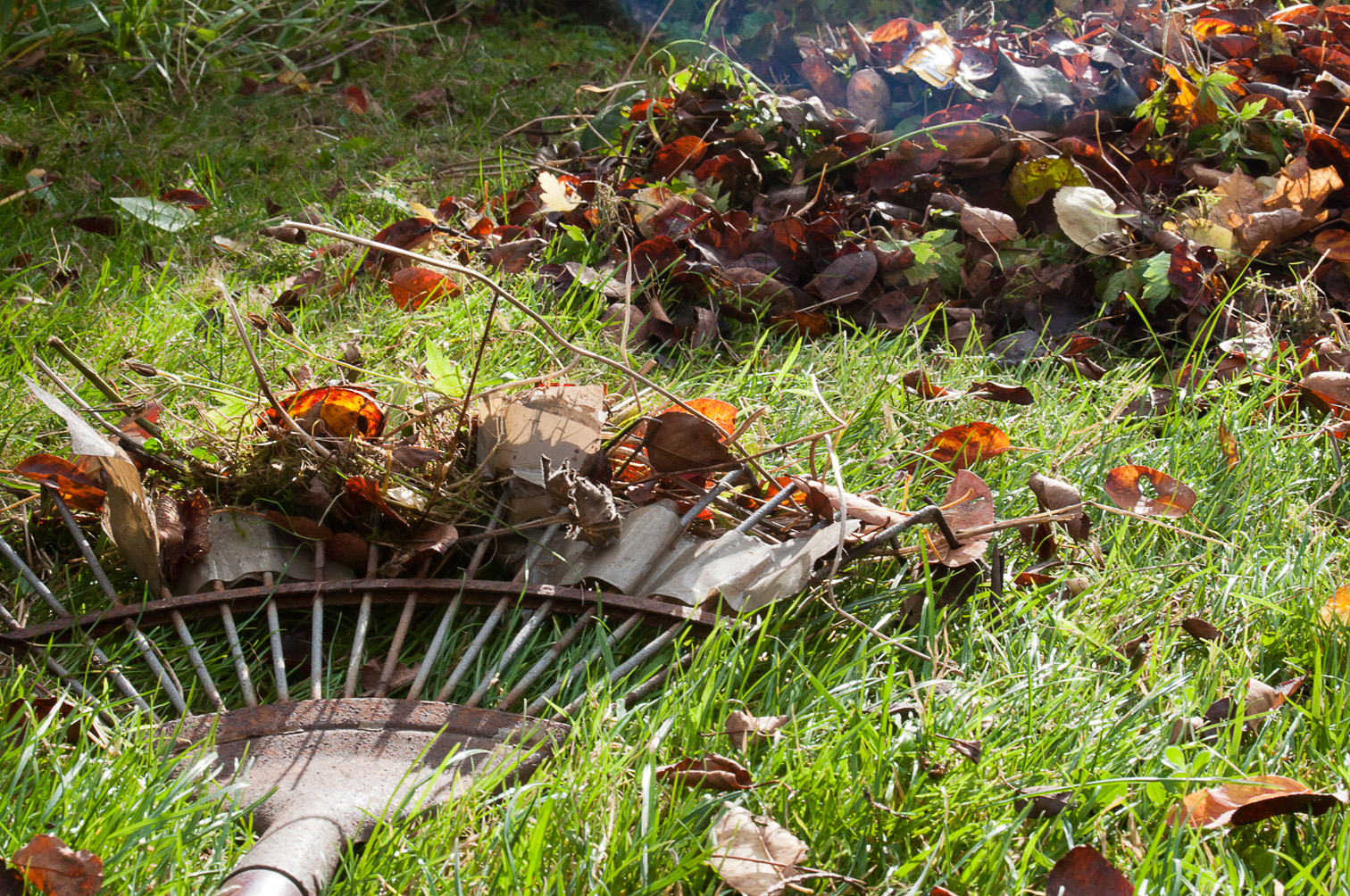 Garden65: Raking Leaves : Raking Time
