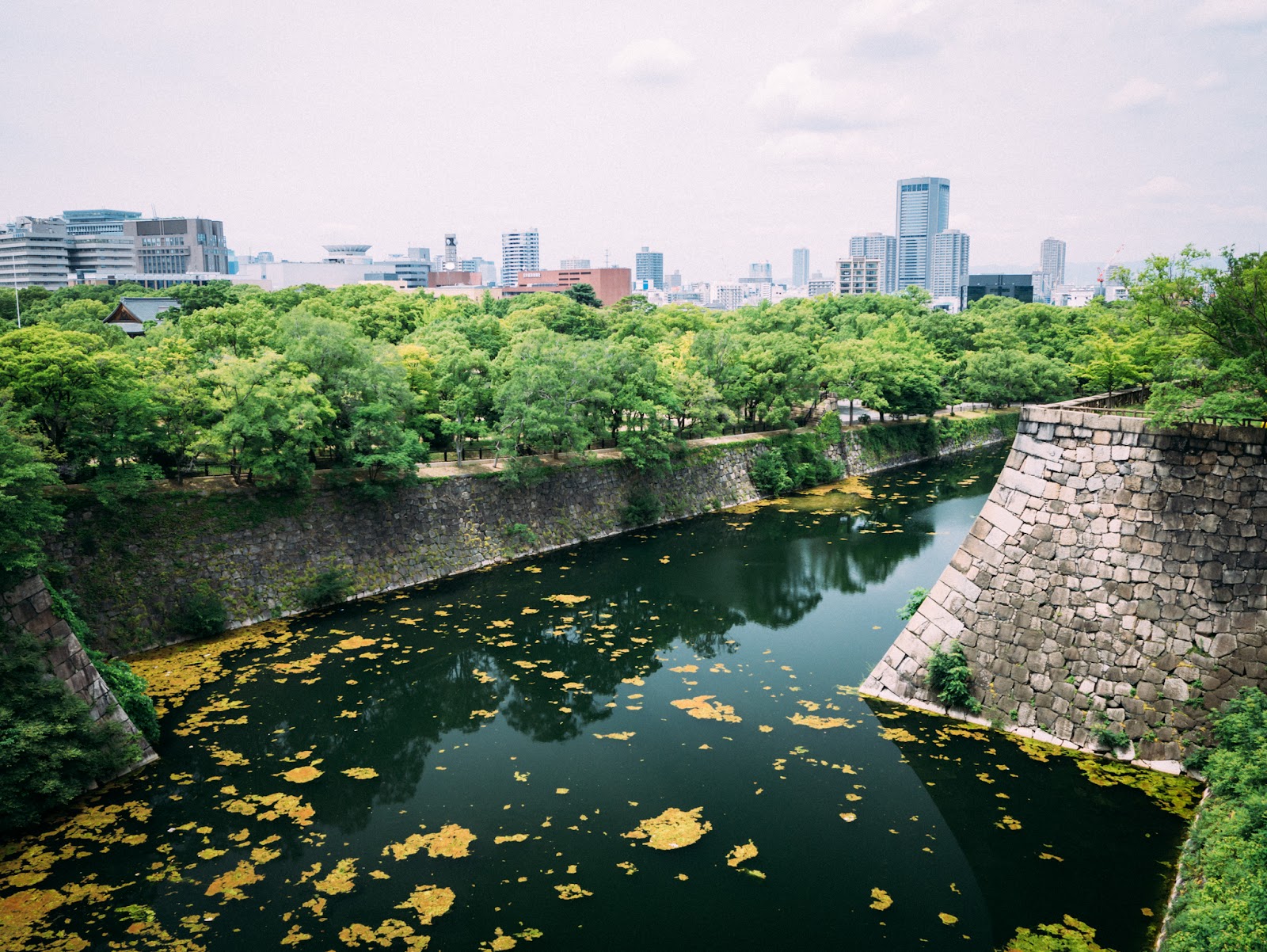 大阪城公園