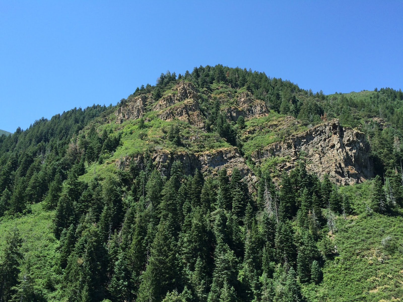 Hidden Oak Trail Above Spanish Fork Reservoir