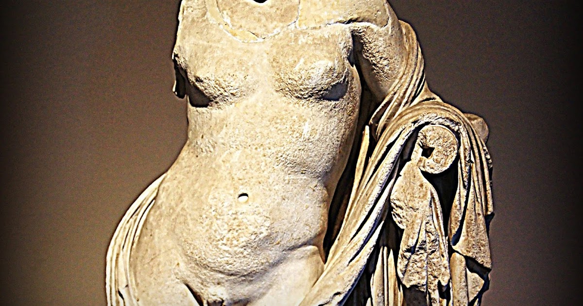 Dissertation on hermaphrodites 06 picture