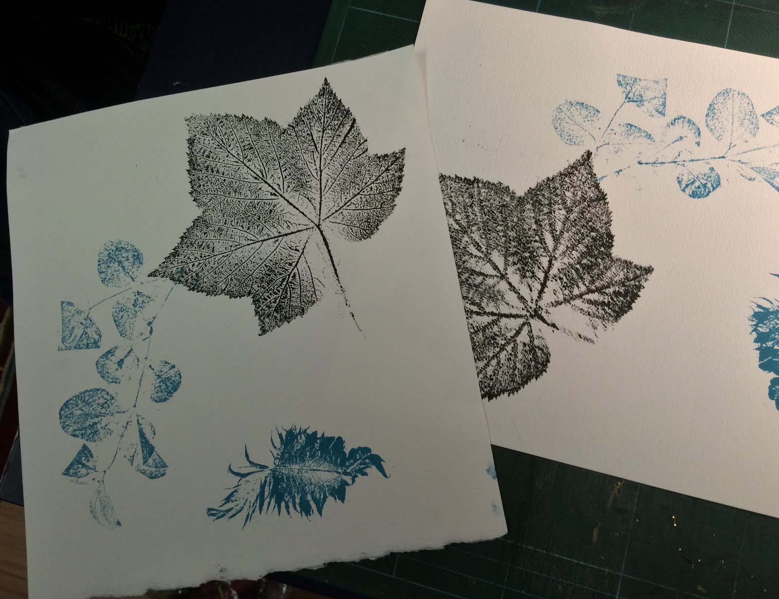 Paddi McGrath How to Make Relief Prints using Feathers, Leaves and
