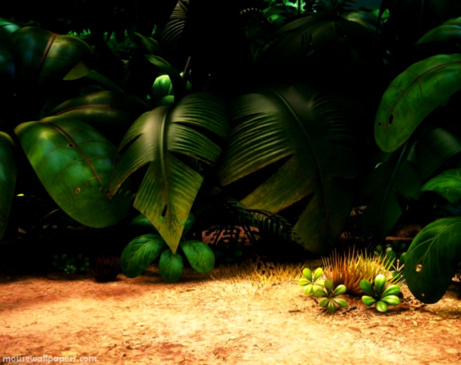 Animated Jungle Backgrounds | Image Wallpapers HD
