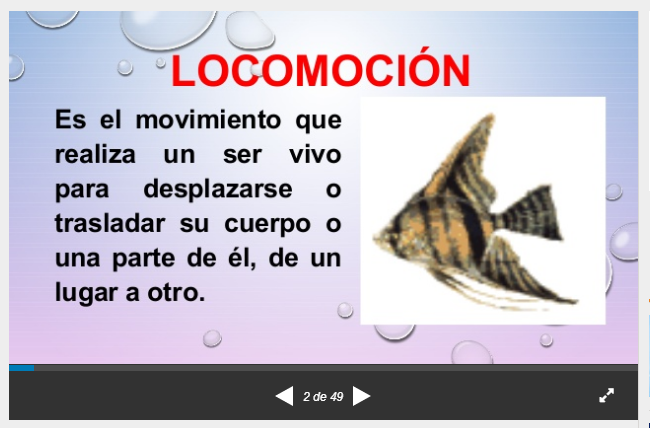 en los seres vivos Clase Ciencias 7º 