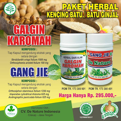 Obat Batu Ginjal