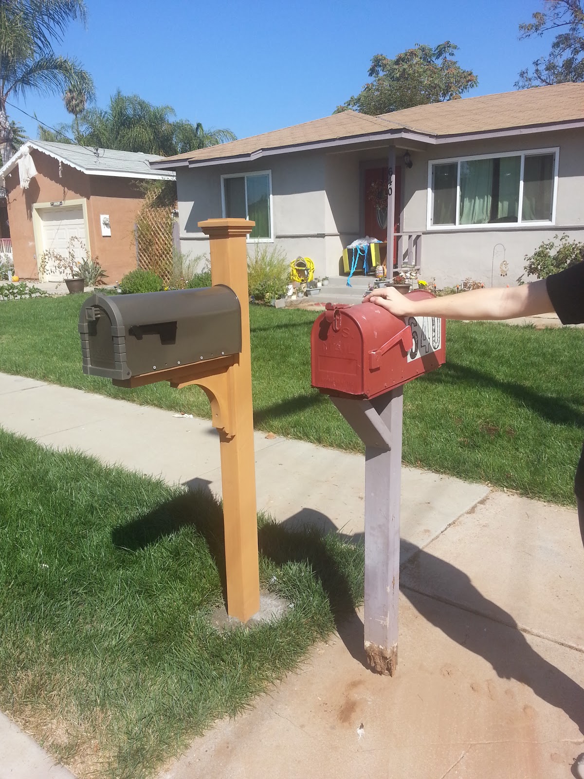 This inSane House New Mailbox!