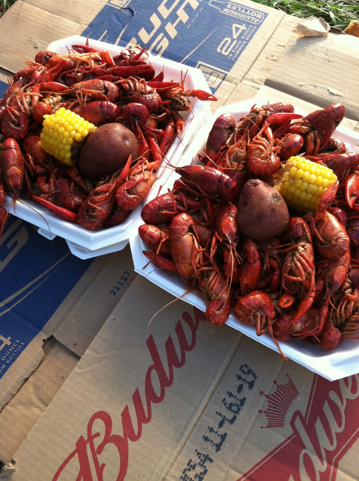 South Texas Roots Old Town Spring Crawfish Festival