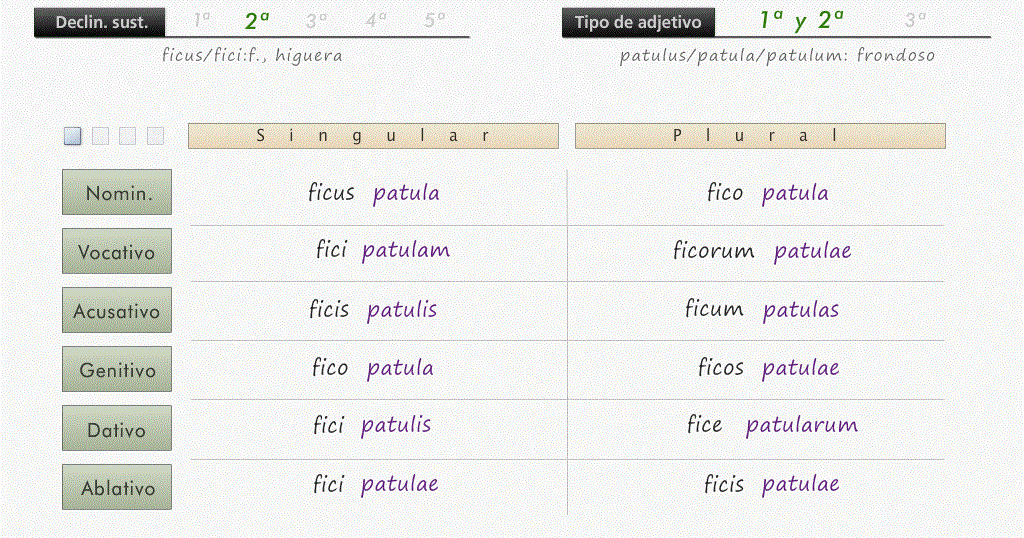 Aula de Latín Declinación conjunta de sustantivos y adjetivos