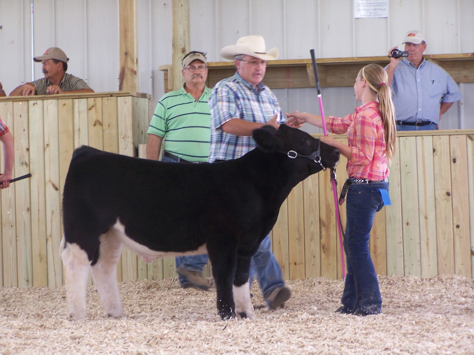 Lautner Farms Warren County Fair Champion Feeder Steer