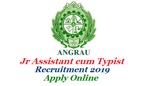 DIRECT RECRUITMENT FOR THE POST OF JUNIOR ASSISTANT-cum-TYPIST (JACT)  Acharya NG Ranga Agricultural University ANGRAU Jr Assistant cum Typist 215 vacancies Recruitment Notification 2019 details. ANGRAU Junior Assistant cum Typist JACT Eligibility criteria Educational Professional qualifications Online Application Form Downloading of Hall Tickets Exam Patterns Results Selection Procedure Download here angrau-junior-assistant-cum-typist-jact-vacancies-recruitment-apply-online