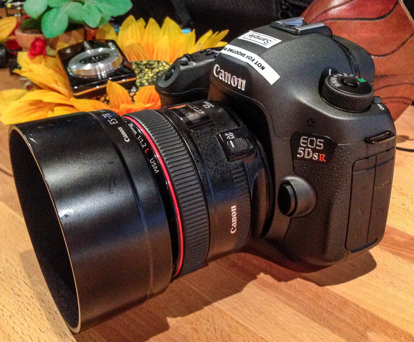 Pratique professionnelle Premiere présentation des Canon 5Dsr et 5Ds