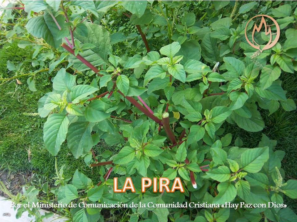 LA PIRA C.C. Hay Paz con Dios