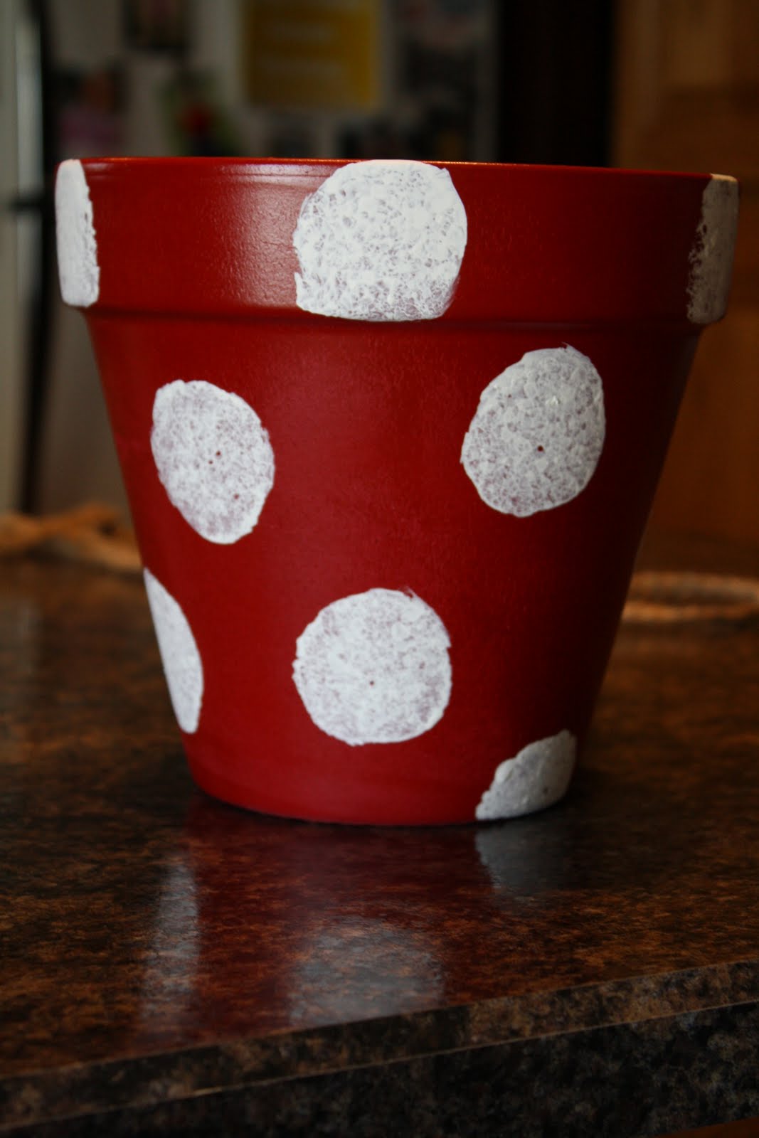 Ladybugs... Crafts... and 14??? DIY Groovy Flower Polka Dot Pots