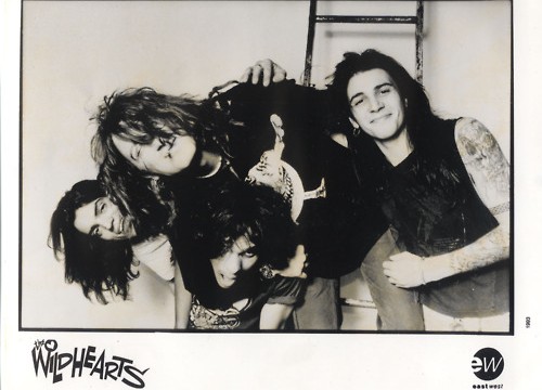ミュージック wildhearts Amazon.co.jp: 【輸入盤】The Wildhearts