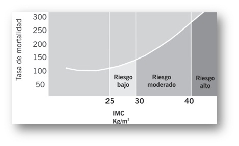 Obesidad cerebral hipertensión Obesidad cerebral hipertensión