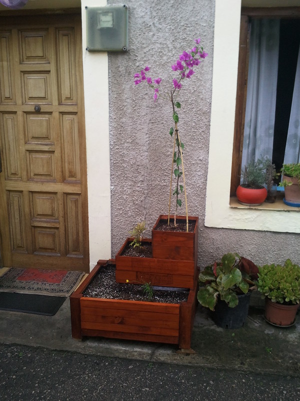 EL BLOG DE LA ELENA. UN BLOG DULCE, DIVERTIDO Y ENTRETENIDO: Jardinera