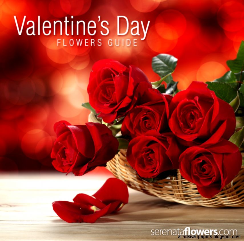 Valentine39s Day flowers guide  PollenNation