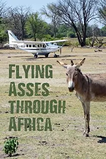 Flying Asses Through Africa - a politically incorrect look at Charter flying on the Dark Continent by Jack Mitchell bookbub