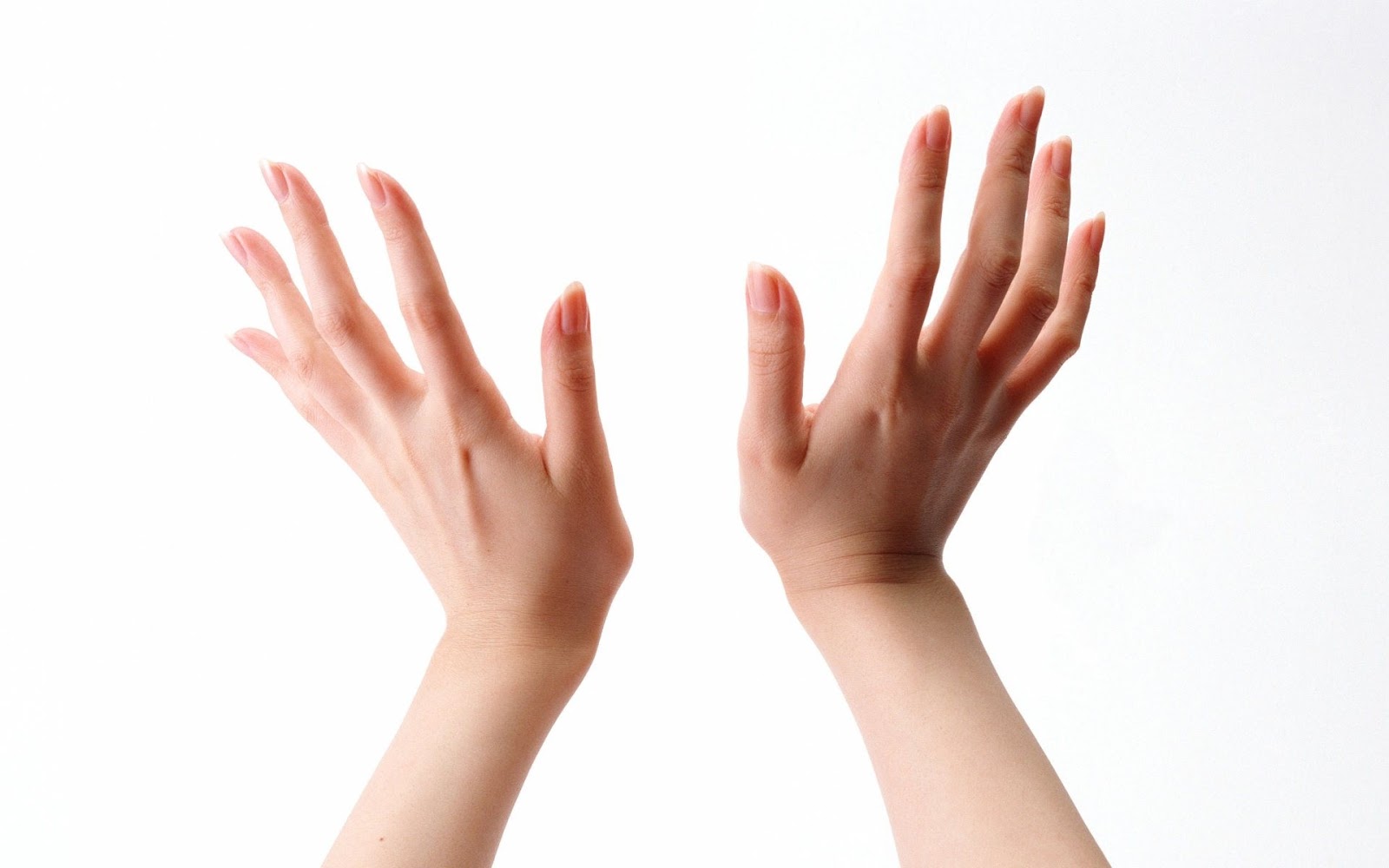 Детская рука. Elini var. Elini var. Рука на прозрачном фоне. Фото руки влюбленных.