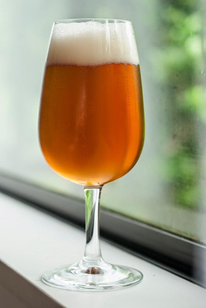 Shadow Beast Brewery Homebrew Review First Impressions Tubedinoz 100