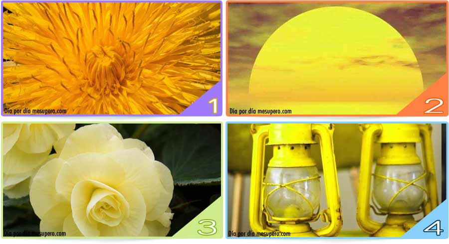 Test: Descubre los secretos del Color Amarillo Test: Descubre los secretos del Color Amarillo