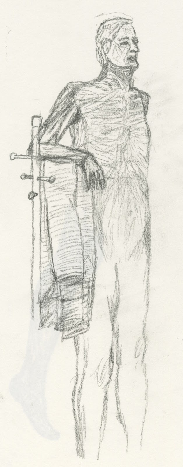 Observational Drawing Week 11 Life Drawing & Basic Anatomy Musculature