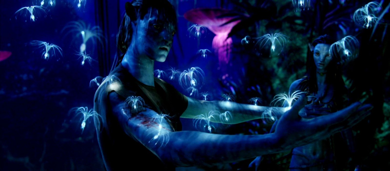 Avatar HD Wallpapers  Avatar 3D Desktop Wallpaper  Cool Wallpapers