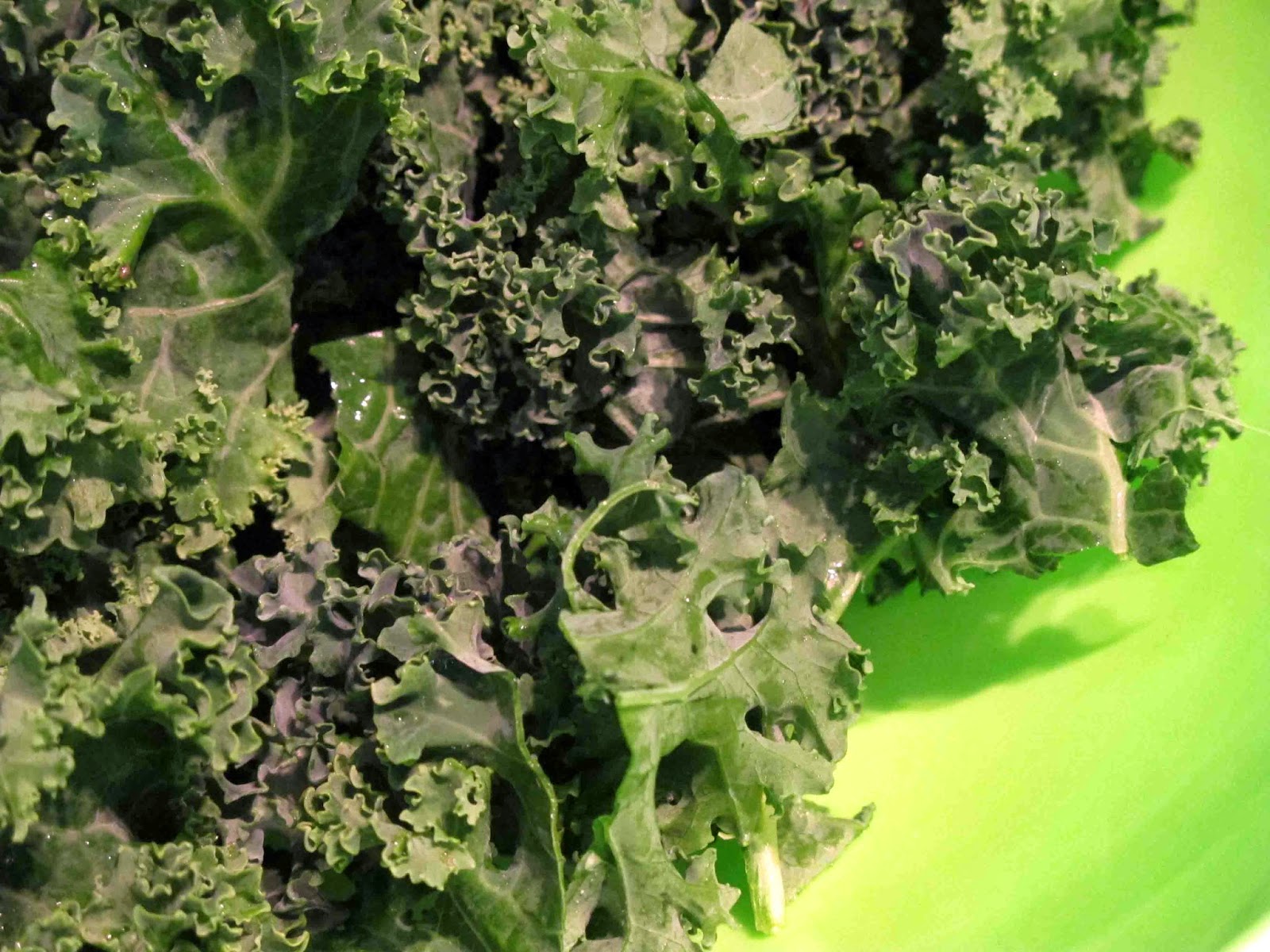 Shoot and Eat Curly Kale /Boerenkool ) Oven Chips