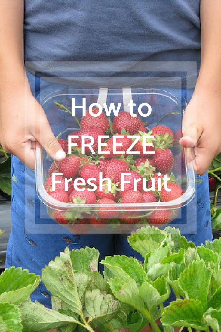 How to Freeze Fresh Fruit {with FREE printable}