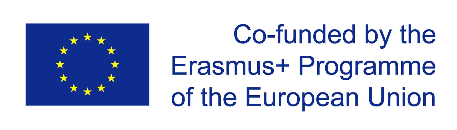 Erasmus Bridge Project