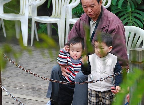 台一生態休閒農場|楓樺台一渡假村