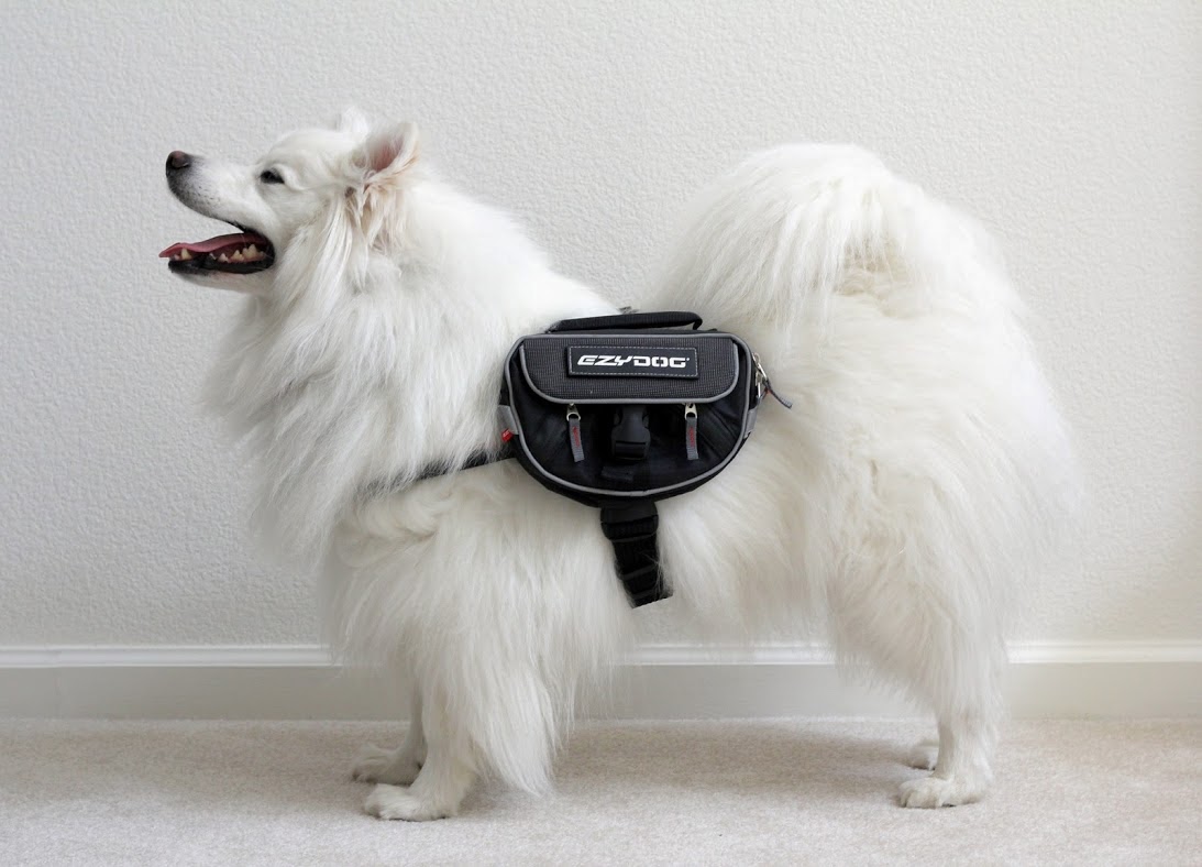 ezydog backpack