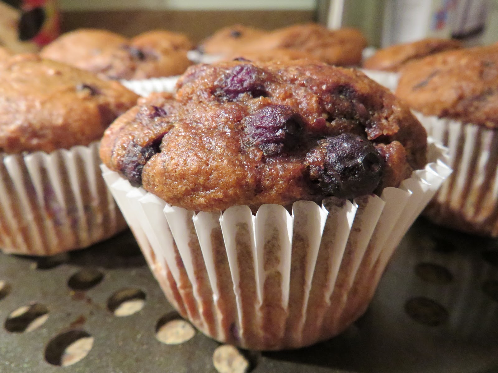 Thel's Kitchen Blueberry Molasses Bran Muffins